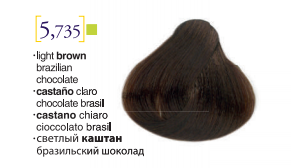 Salerm© Salermvison Professsional 5,735 Light Brown Brazilian Chocolate 2.3oz